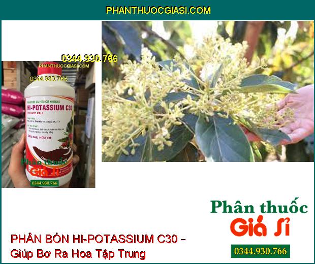 PHÂN BÓN LÁ HỮU CƠ KHOÁNG HI-POTASSIUM C30 – Tăng Đề Kháng- Ra Hoa Tập Trung- Chống Rụng Hoa Và Trái Non