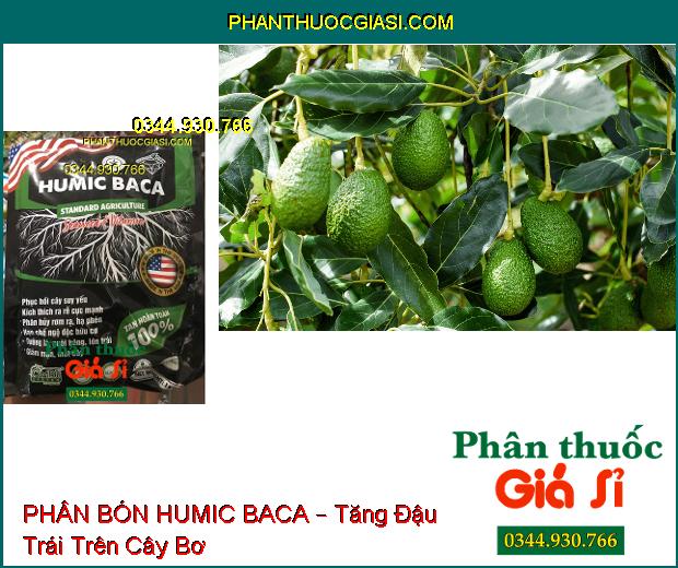 PHÂN BÓN LÁ KALI SINH HỌC HUMIC BACA – Cải Tạo Đất- Phục Hồi Cây- Ra Rễ Nhanh- Tăng Đề Kháng