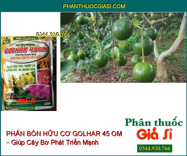 PHÂN BÓN HỮU CƠ GOLHAR 45 OM – Chuyên Dùng Cho Hoa Mai Và Hoa Giấy