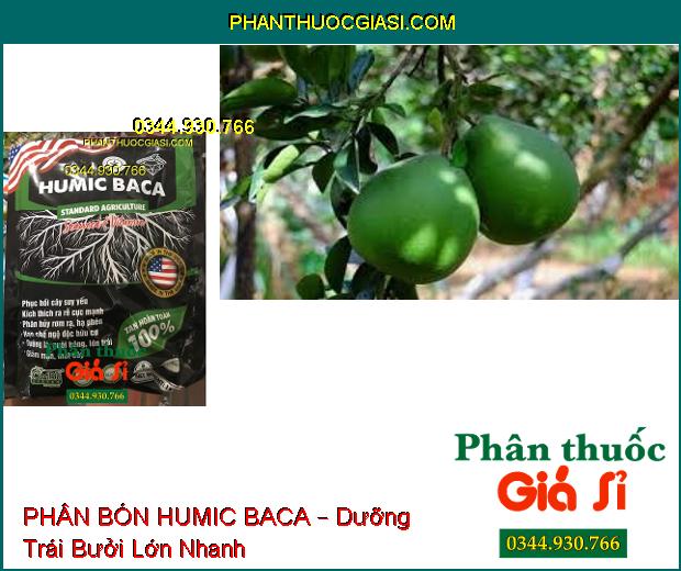 PHÂN BÓN LÁ KALI SINH HỌC HUMIC BACA – Cải Tạo Đất- Phục Hồi Cây- Ra Rễ Nhanh- Tăng Đề Kháng