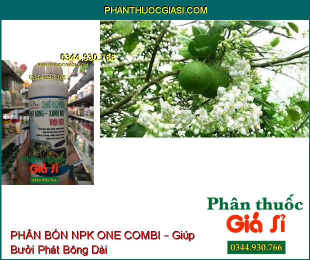 PHÂN BÓN NPK ONE COMBI – Mát Bông- Tăng Đậu Trái- Chống Đen Bông- Chống Rụng Trái Non