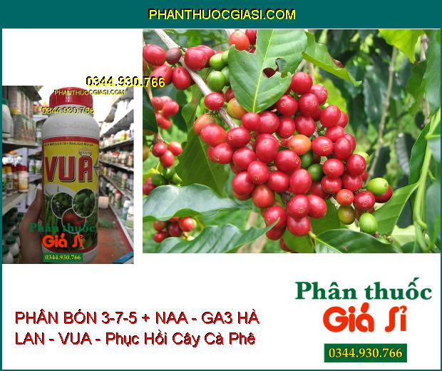 PHÂN BÓN LÁ 3-7-5 + NAA - GA3 HÀ LAN - VUA - Ra Rễ- Đâm Chồi Kéo Đọt- Xanh Dày Lá