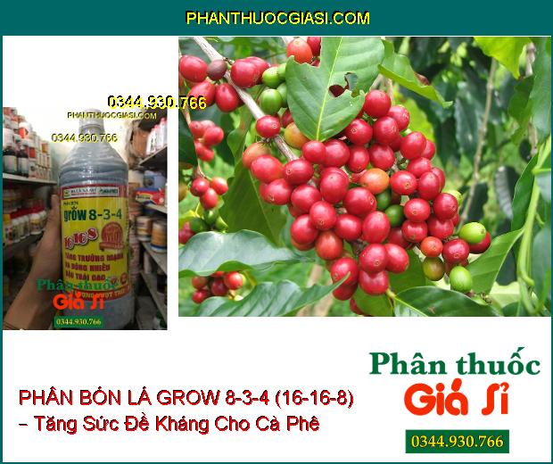 PHÂN BÓN LÁ GROW 8-3-4 (16-16-8) – Sinh Trưởng Nhanh- Ra Hoa Đậu Trái Nhiều- Trái Chín Đồng Loạt