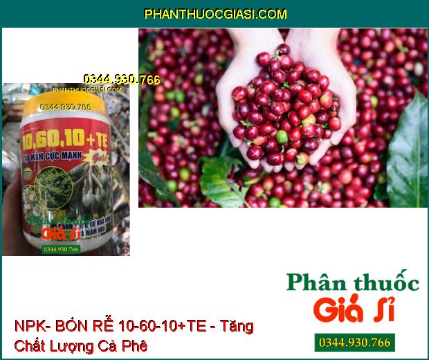 NPK- BÓN RỄ 10-60-10+TE -TẠO MẦM HOA GOLD- Đánh Thức Mầm Hoa Ngủ- Kích Ra Hoa Đồng Loạt- Hạn Chế Khô Đen Bông