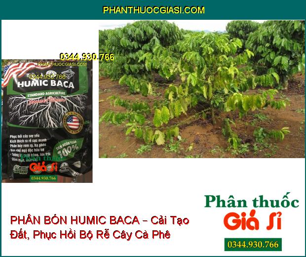 PHÂN BÓN LÁ KALI SINH HỌC HUMIC BACA – Cải Tạo Đất- Phục Hồi Cây- Ra Rễ Nhanh- Tăng Đề Kháng