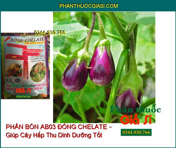 PHÂN BÓN AB03 ĐỒNG CHELATE – Xanh Cây Tốt Lá- Ngừa Vàng Lá- Thối Rễ- Xoắn Lá Non