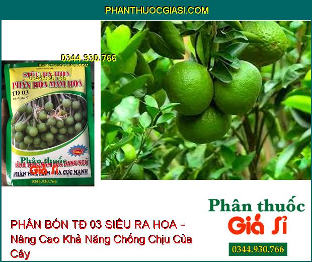 PHÂN BÓN TĐ 03 SIÊU RA HOA – Đánh Thức Mầm Hoa Đang Ngủ- Phân Hóa Mầm Hoa Cực Mạnh