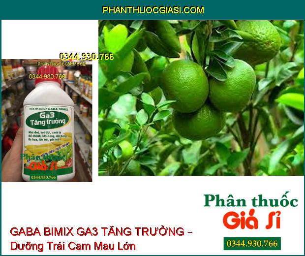 PHÂN BÓN GABA BIMIX GA3 TĂNG TRƯỞNG – Đẻ Nhánh- Vọt Đọt- Dài Bông- Lớn Trái