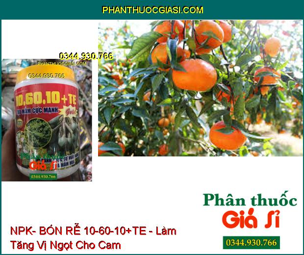 NPK- BÓN RỄ 10-60-10+TE -TẠO MẦM HOA GOLD- Đánh Thức Mầm Hoa Ngủ- Kích Ra Hoa Đồng Loạt- Hạn Chế Khô Đen Bông