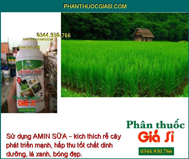 PHÂN BÓN NÔNG TÍN – AMIN SỮA – Cứng Cây- Xanh Dày Lá- Đâm Chồi Mạnh