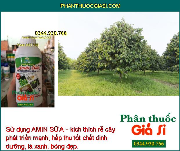 PHÂN BÓN NÔNG TÍN – AMIN SỮA – Cứng Cây- Xanh Dày Lá- Đâm Chồi Mạnh