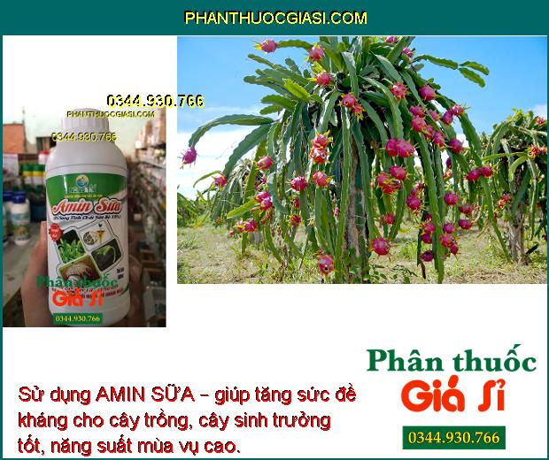 PHÂN BÓN NÔNG TÍN – AMIN SỮA – Cứng Cây- Xanh Dày Lá- Đâm Chồi Mạnh