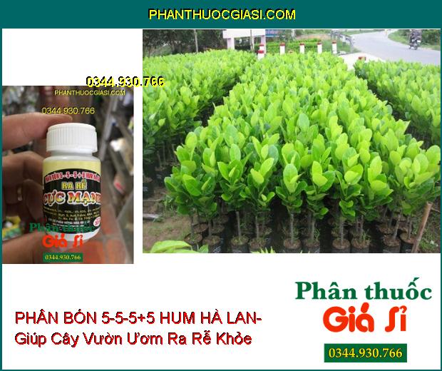 PHÂN BÓN 5-5-5+5 HUM HÀ LAN- Kích Hạt Nảy Mầm- Ra Rễ Cực Mạnh- Chống Rụng Hoa- Tăng Đậu Trái