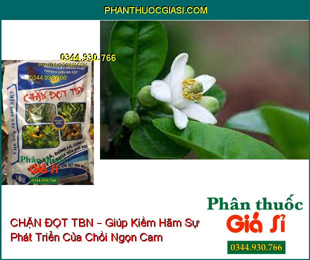 CHẶN ĐỌT TBN – Ức Chế Đọt Non- Hạn Chế Rụng Trái- Ngăn Ngừa Sượng Trái, Méo Trái