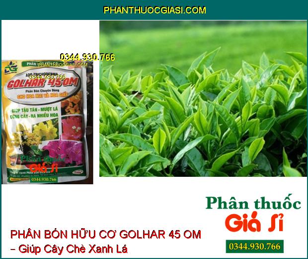 PHÂN BÓN HỮU CƠ GOLHAR 45 OM – Chuyên Dùng Cho Hoa Mai Và Hoa Giấy