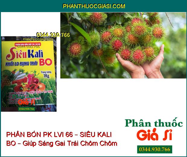 PHÂN BÓN HỖN HỢP PK LVI 66 – SIÊU KALI BO – Tăng Đậu Hạt, Trái- Cứng Cây- Kháng Sâu Bệnh