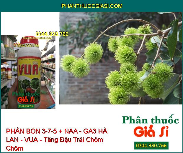 PHÂN BÓN LÁ 3-7-5 + NAA - GA3 HÀ LAN - VUA - Ra Rễ- Đâm Chồi Kéo Đọt- Xanh Dày Lá