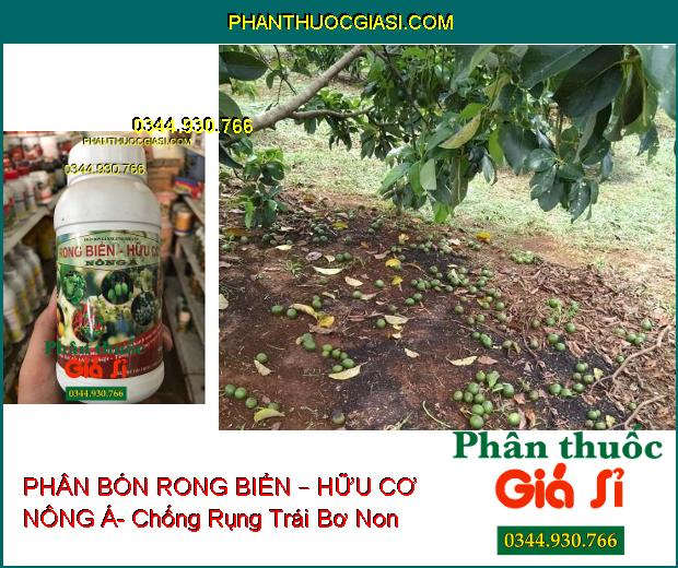 PHÂN BÓN LÁ RONG BIỂN – HỮU CƠ NÔNG Á – Cây Sinh Trưởng Mạnh Mẽ- Phục Hồi Nhanh Sau Thu Hoạch- Tăng Đề Kháng