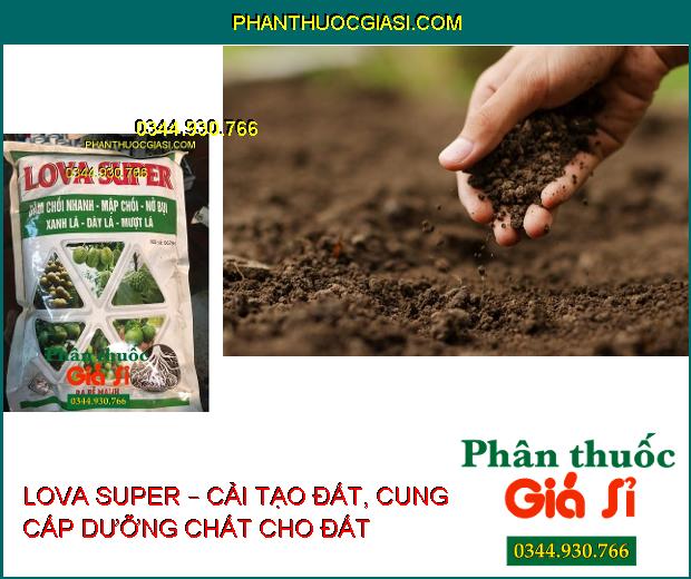 LOVA SUPER – Đâm Chồi Nhanh- Mập Chồi- Dày Lá- Ra Rễ Cực Mạnh