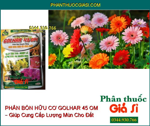 PHÂN BÓN HỮU CƠ GOLHAR 45 OM – Chuyên Dùng Cho Hoa Mai Và Hoa Giấy