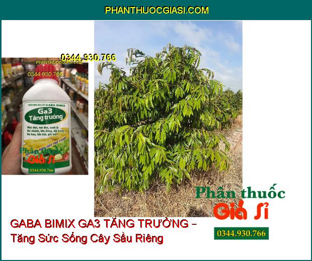 PHÂN BÓN GABA BIMIX GA3 TĂNG TRƯỞNG – Đẻ Nhánh- Vọt Đọt- Dài Bông- Lớn Trái