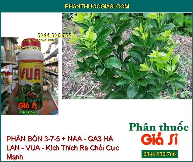 PHÂN BÓN LÁ 3-7-5 + NAA - GA3 HÀ LAN - VUA - Ra Rễ- Đâm Chồi Kéo Đọt- Xanh Dày Lá