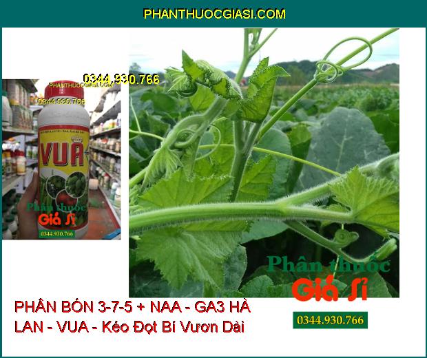 PHÂN BÓN LÁ 3-7-5 + NAA - GA3 HÀ LAN - VUA - Ra Rễ- Đâm Chồi Kéo Đọt- Xanh Dày Lá