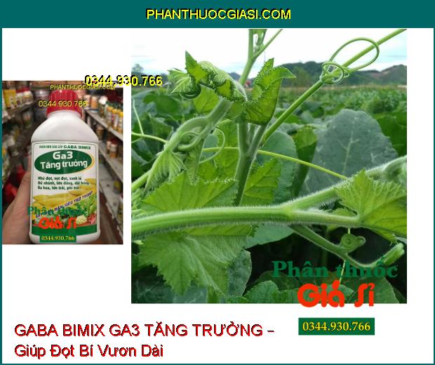 PHÂN BÓN GABA BIMIX GA3 TĂNG TRƯỞNG – Đẻ Nhánh- Vọt Đọt- Dài Bông- Lớn Trái