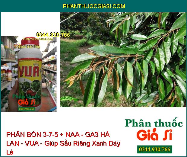 PHÂN BÓN LÁ 3-7-5 + NAA - GA3 HÀ LAN - VUA - Ra Rễ- Đâm Chồi Kéo Đọt- Xanh Dày Lá