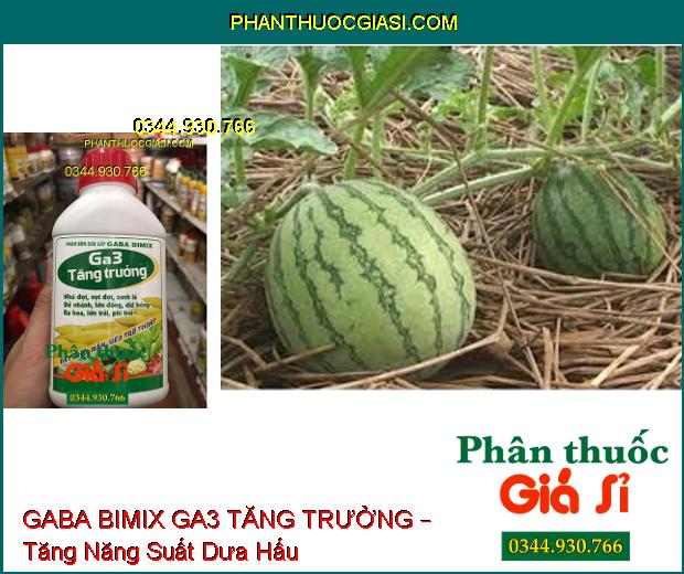 PHÂN BÓN GABA BIMIX GA3 TĂNG TRƯỞNG – Đẻ Nhánh- Vọt Đọt- Dài Bông- Lớn Trái