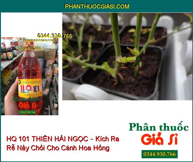 HQ 101 THIÊN HẢI NGỌC – Kích Thích Ra Hoa Đồng Loạt- Chống Rụng Hoa Và Trái Non- Tăng Năng Suất