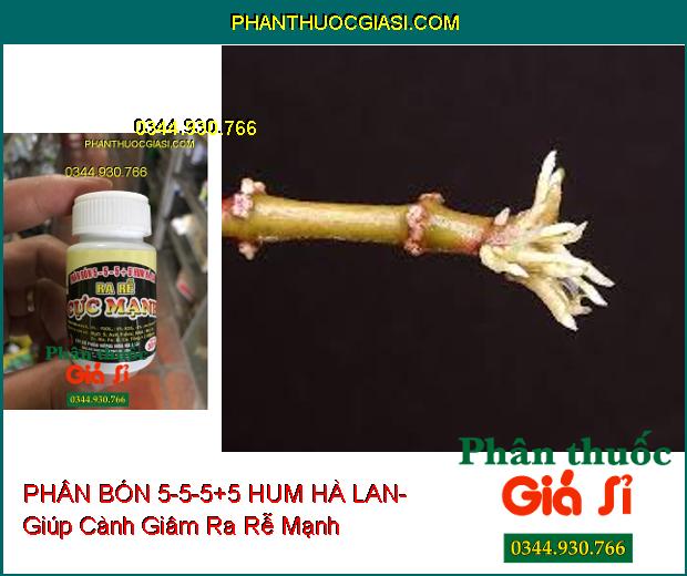 PHÂN BÓN 5-5-5+5 HUM HÀ LAN- Kích Hạt Nảy Mầm- Ra Rễ Cực Mạnh- Chống Rụng Hoa- Tăng Đậu Trái