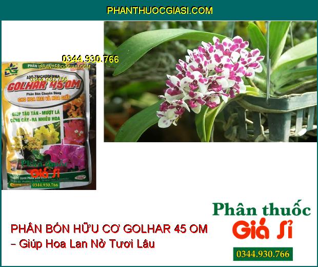 PHÂN BÓN HỮU CƠ GOLHAR 45 OM – Chuyên Dùng Cho Hoa Mai Và Hoa Giấy