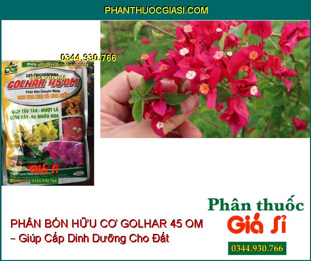 PHÂN BÓN HỮU CƠ GOLHAR 45 OM – Chuyên Dùng Cho Hoa Mai Và Hoa Giấy