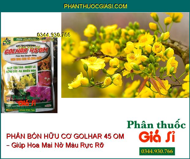 PHÂN BÓN HỮU CƠ GOLHAR 45 OM – Chuyên Dùng Cho Hoa Mai Và Hoa Giấy