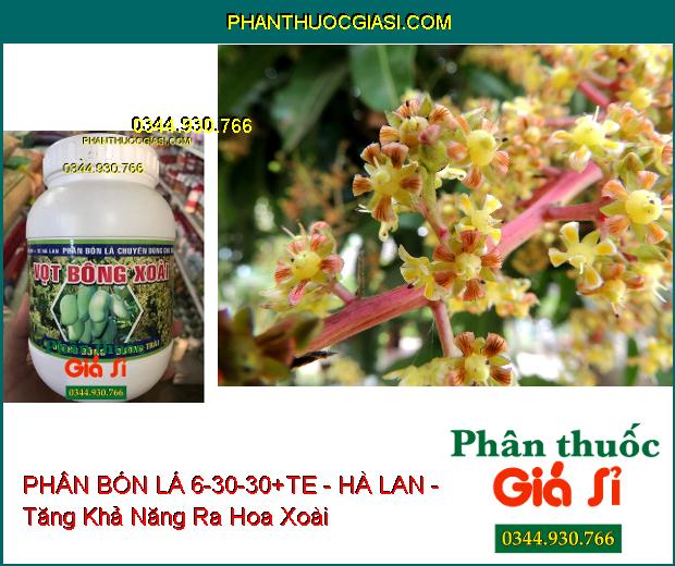 PHÂN BÓN LÁ 6-30-30+TE - HÀ LAN - Ra Hoa Mạnh- Cuống Hoa Chắc Dẻo- Tăng Đậu Trái