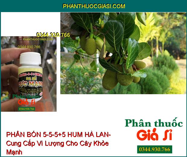 PHÂN BÓN 5-5-5+5 HUM HÀ LAN- Kích Hạt Nảy Mầm- Ra Rễ Cực Mạnh- Chống Rụng Hoa- Tăng Đậu Trái