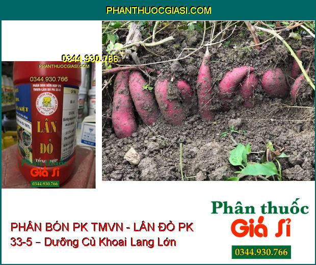 PHÂN BÓN HỖN HỢP PK TMVN - LÂN ĐỎ PK 33-5 – Kích Ra Rễ- Tạo Củ- Phân Hóa Mầm Hoa- Phục Hồi Vườn Cây 