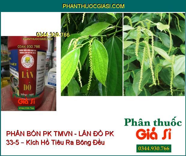 PHÂN BÓN HỖN HỢP PK TMVN - LÂN ĐỎ PK 33-5 – Kích Ra Rễ- Tạo Củ- Phân Hóa Mầm Hoa- Phục Hồi Vườn Cây 