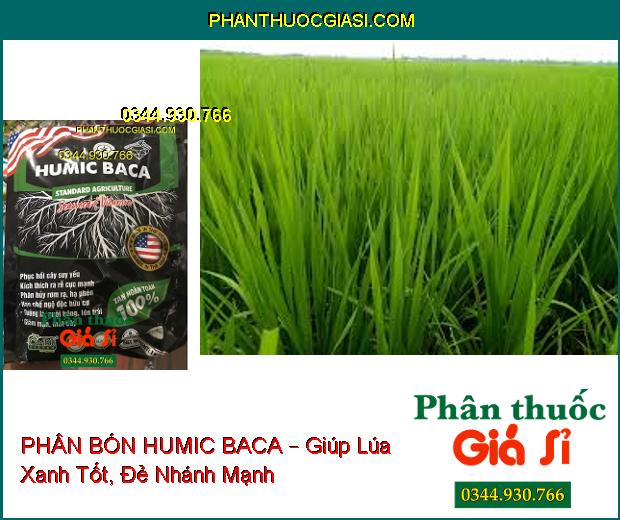 PHÂN BÓN LÁ KALI SINH HỌC HUMIC BACA – Cải Tạo Đất- Phục Hồi Cây- Ra Rễ Nhanh- Tăng Đề Kháng