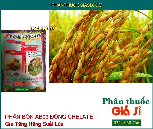 PHÂN BÓN AB03 ĐỒNG CHELATE – Xanh Cây Tốt Lá- Ngừa Vàng Lá- Thối Rễ- Xoắn Lá Non