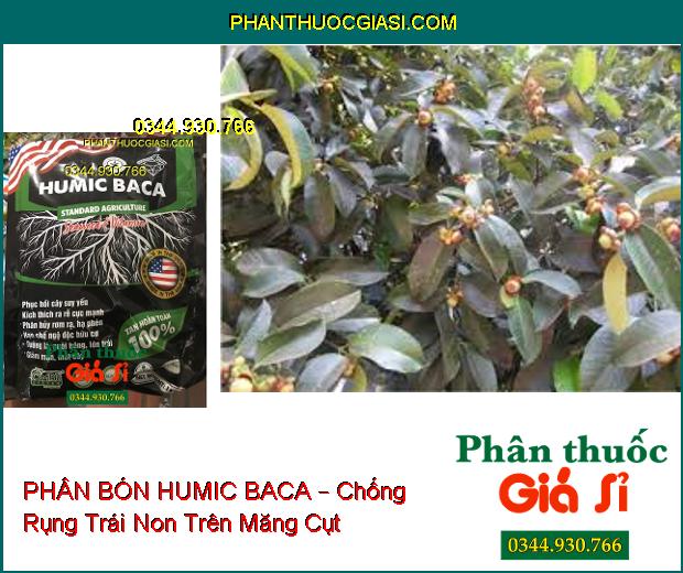 PHÂN BÓN LÁ KALI SINH HỌC HUMIC BACA – Cải Tạo Đất- Phục Hồi Cây- Ra Rễ Nhanh- Tăng Đề Kháng