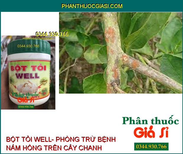 BỘT TỎI WELL - Xua Đuổi Côn Trùng- Phòng Ngừa Nấm Bệnh- Vệ Sinh Chuồng Trại- Khử Mùi Hiệu Quả