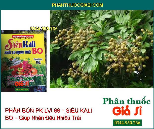 PHÂN BÓN HỖN HỢP PK LVI 66 – SIÊU KALI BO – Tăng Đậu Hạt, Trái- Cứng Cây- Kháng Sâu Bệnh