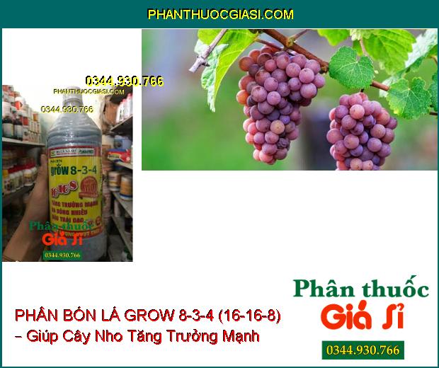 PHÂN BÓN LÁ GROW 8-3-4 (16-16-8) – Sinh Trưởng Nhanh- Ra Hoa Đậu Trái Nhiều- Trái Chín Đồng Loạt