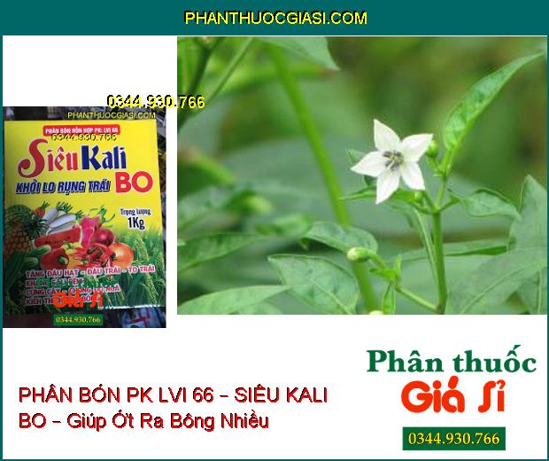 PHÂN BÓN HỖN HỢP PK LVI 66 – SIÊU KALI BO – Tăng Đậu Hạt, Trái- Cứng Cây- Kháng Sâu Bệnh