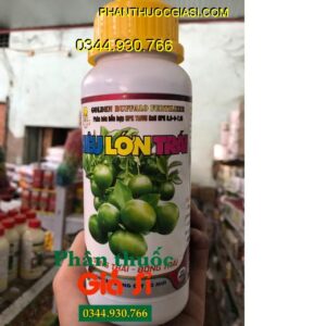 PHÂN BÓN HỖN HỢP NPK TMVN KALI NPK 5,9-6-7,05 SIÊU LỚN TRÁI – Trái Lớn Nhanh- Chống Da Lu, Da Cám- Nặng Ký