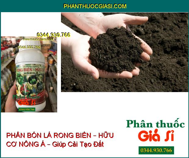 PHÂN BÓN LÁ RONG BIỂN – HỮU CƠ NÔNG Á – Cây Sinh Trưởng Mạnh Mẽ- Phục Hồi Nhanh Sau Thu Hoạch- Tăng Đề Kháng