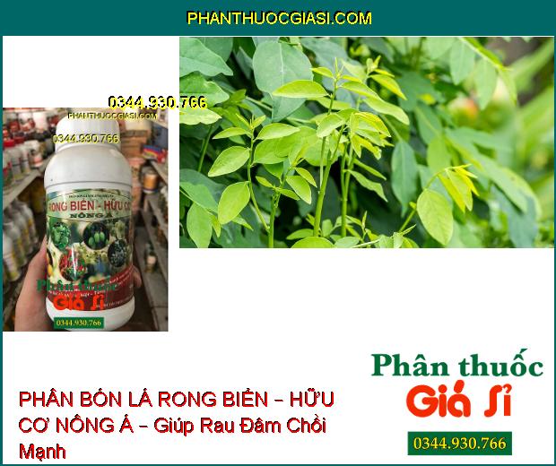 PHÂN BÓN LÁ RONG BIỂN – HỮU CƠ NÔNG Á – Cây Sinh Trưởng Mạnh Mẽ- Phục Hồi Nhanh Sau Thu Hoạch- Tăng Đề Kháng