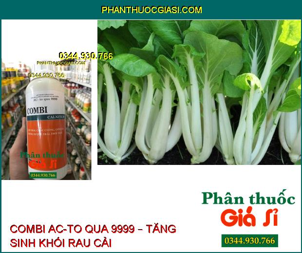 COMBI AC-TO QUA 9999 – Lớn Trái- Chắc Cuống- Cơm Dày- Chống Sượng Trái, Thối Trái